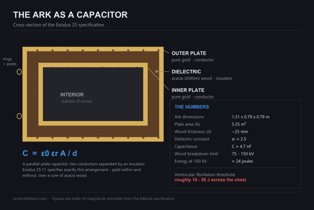Diagram of the Ark of the Covenant as a parallel-plate capacitor, showing gold conductors and an acacia wood dielectric