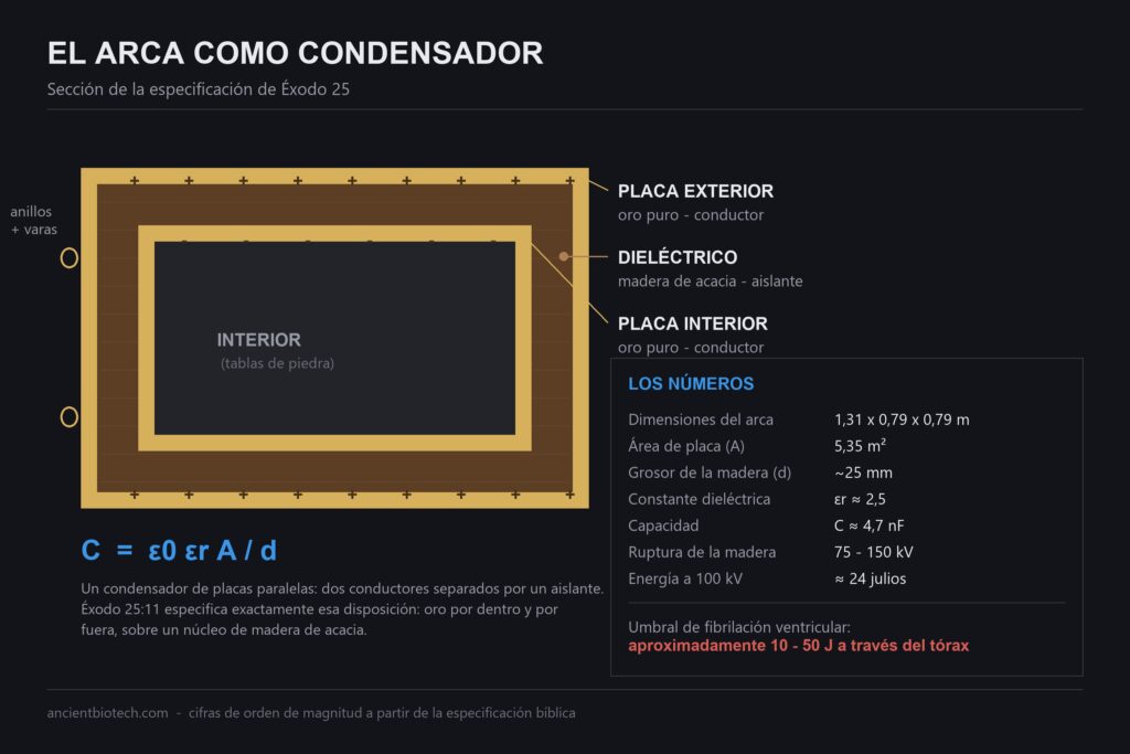 Diagrama del Arca de la Alianza como condensador de placas paralelas, con conductores de oro y un dieléctrico de madera de acacia