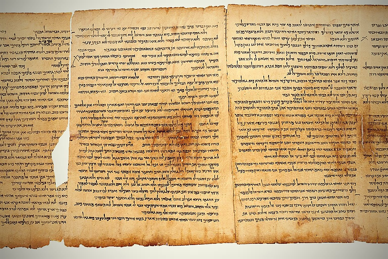 Biblical Prophecies That Came True — and the Test That Sorts Them