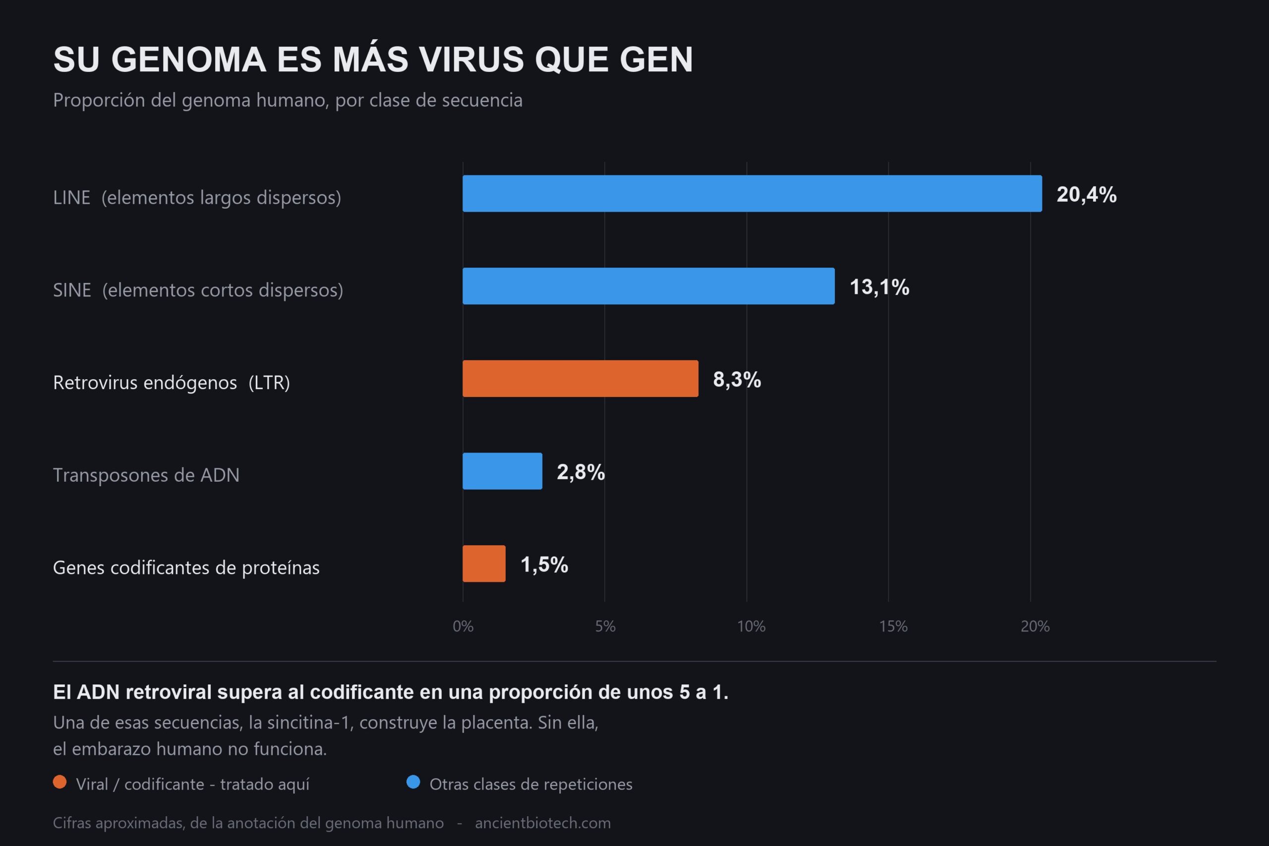 El código secuestrado: su placenta la construyó un virus