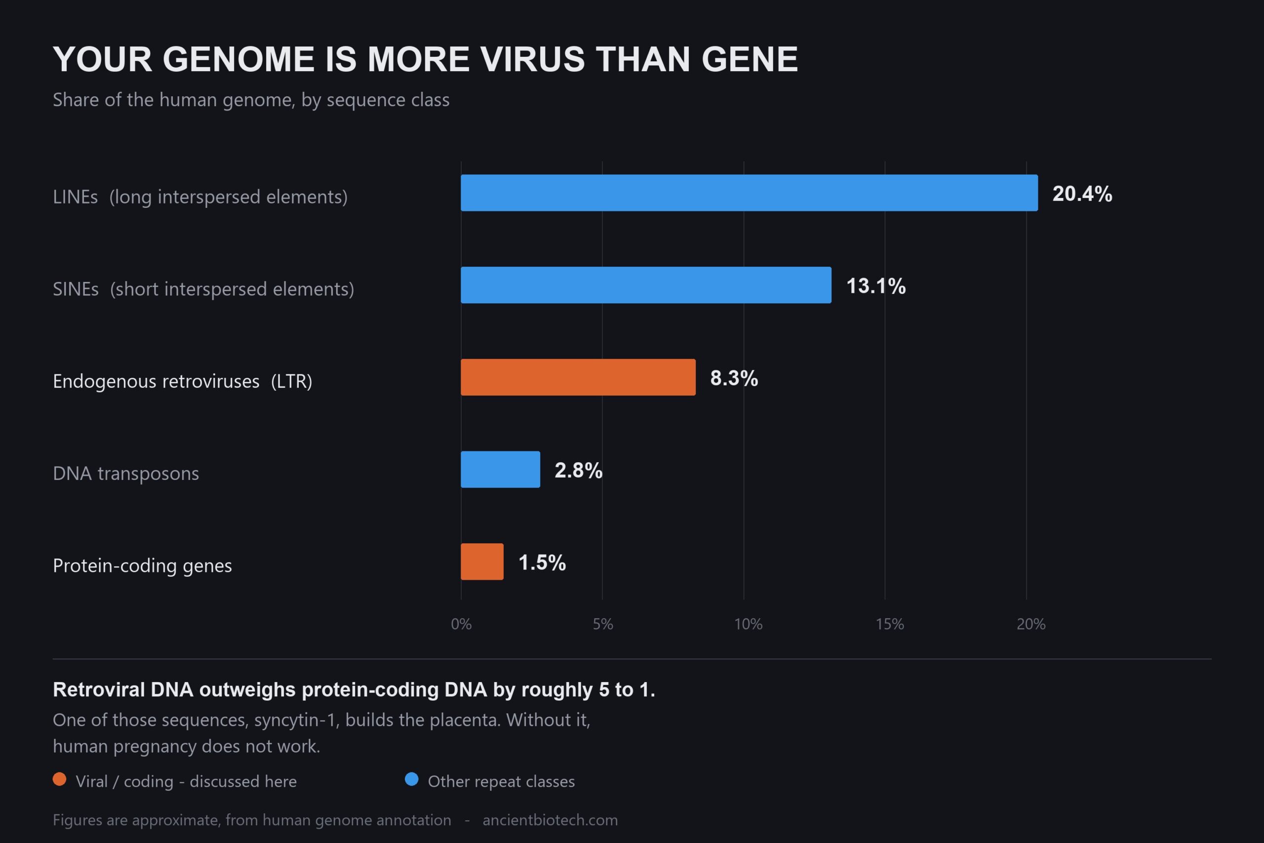 Junk DNA: An Archive Nobody Curated