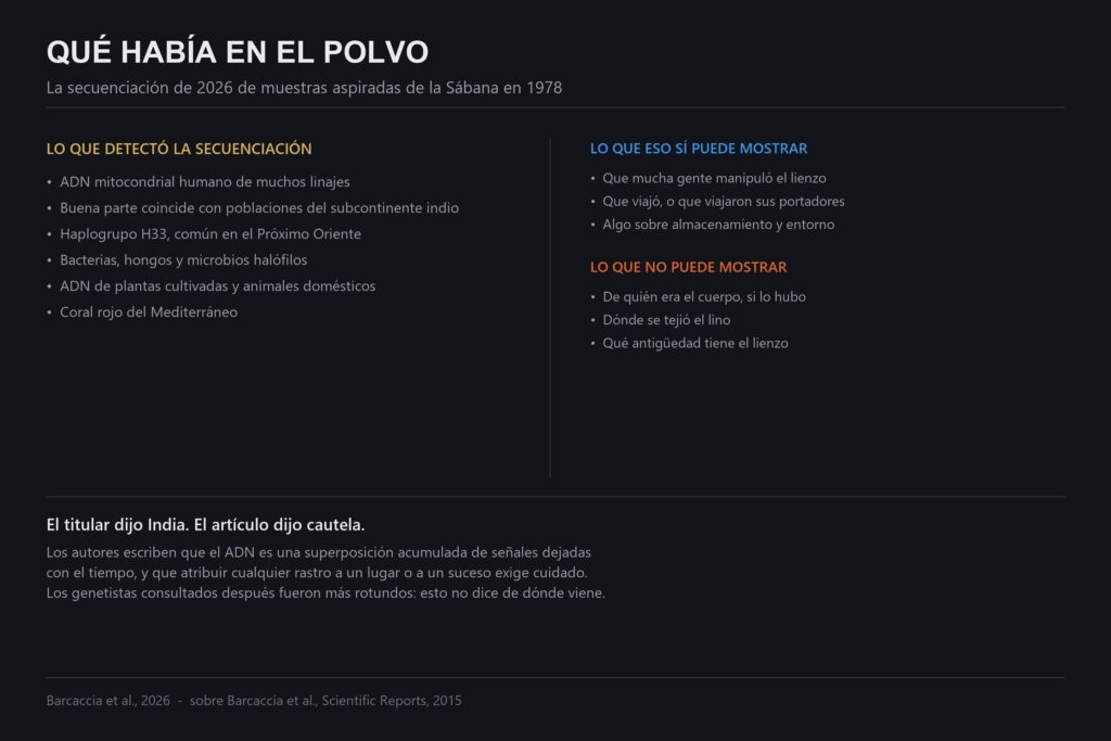 Gráfico de lo que detectó la secuenciación de ADN de la Sábana Santa de 2026, y qué puede y no puede mostrar