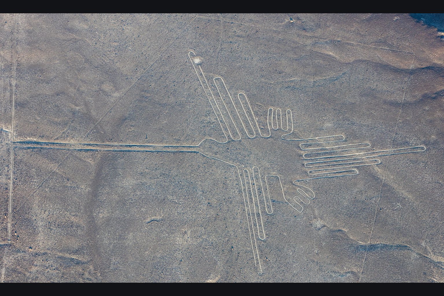 The Nazca Lines: Two Readings of the Same Desert